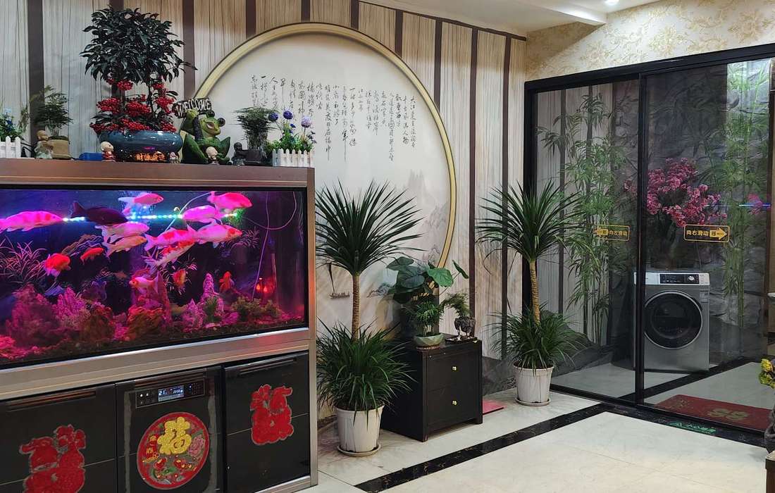 鱼泡网