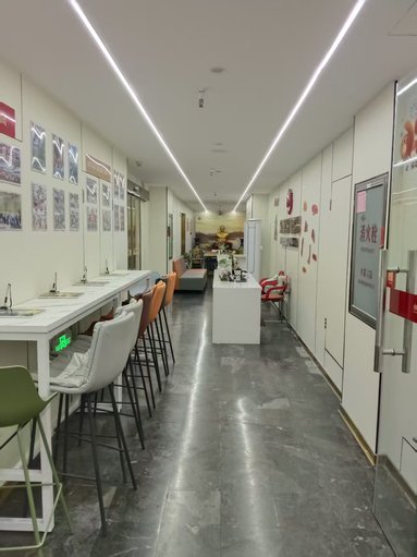 鱼泡网