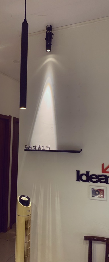 鱼泡网