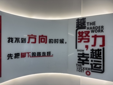 鱼泡网