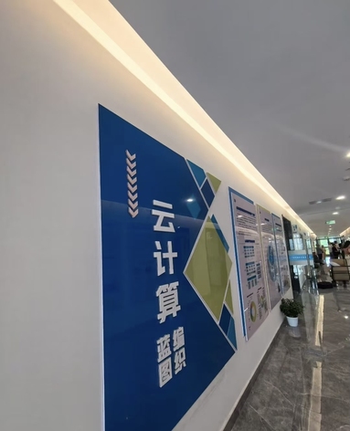 鱼泡网