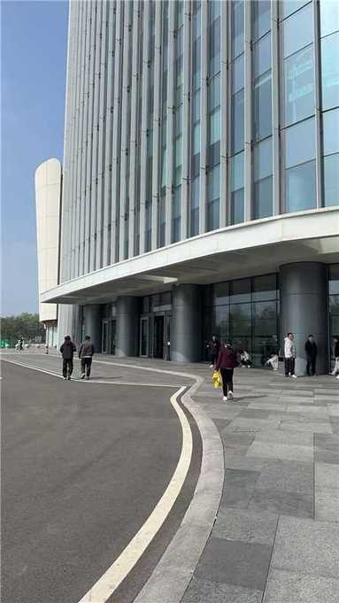 鱼泡网