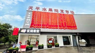 魚(yú)泡網(wǎng)