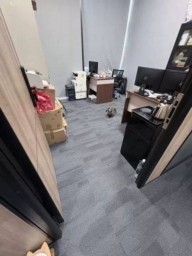 鱼泡网