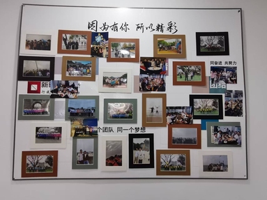 魚泡網(wǎng)