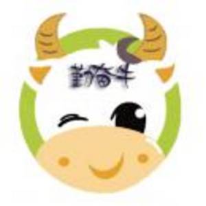 魚泡網(wǎng)