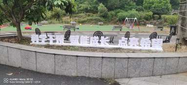 鱼泡网