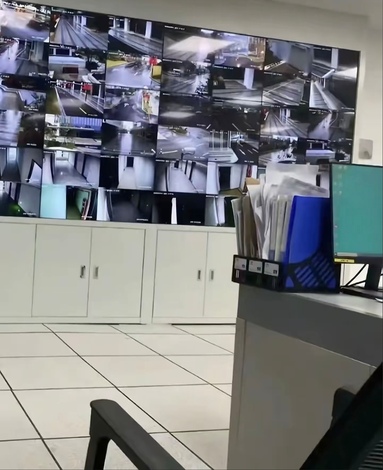 鱼泡网