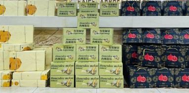 魚泡網(wǎng)