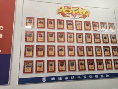 鱼泡网
