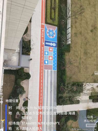 魚泡網(wǎng)