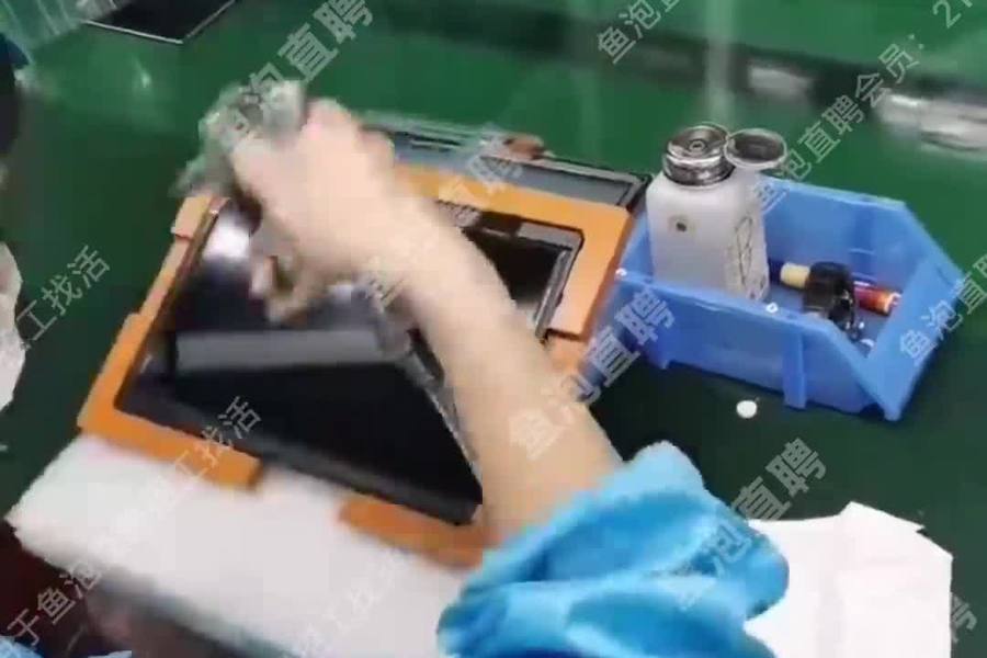 鱼泡网