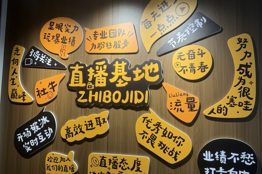 鱼泡网