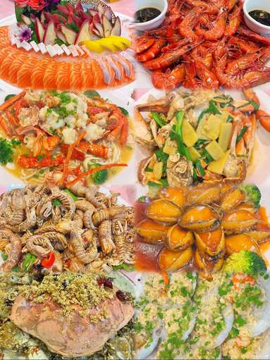 魚泡網(wǎng)