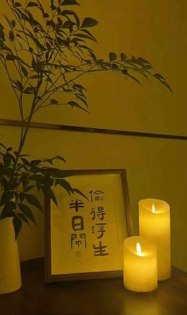 魚泡網
