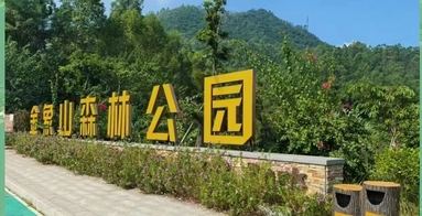 魚泡網(wǎng)