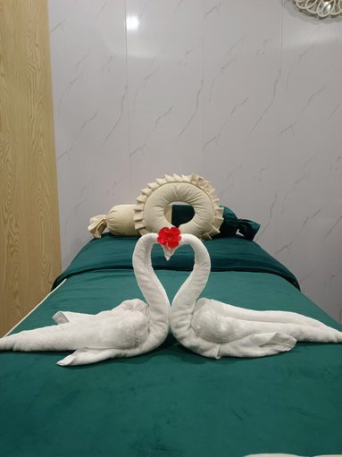 鱼泡网