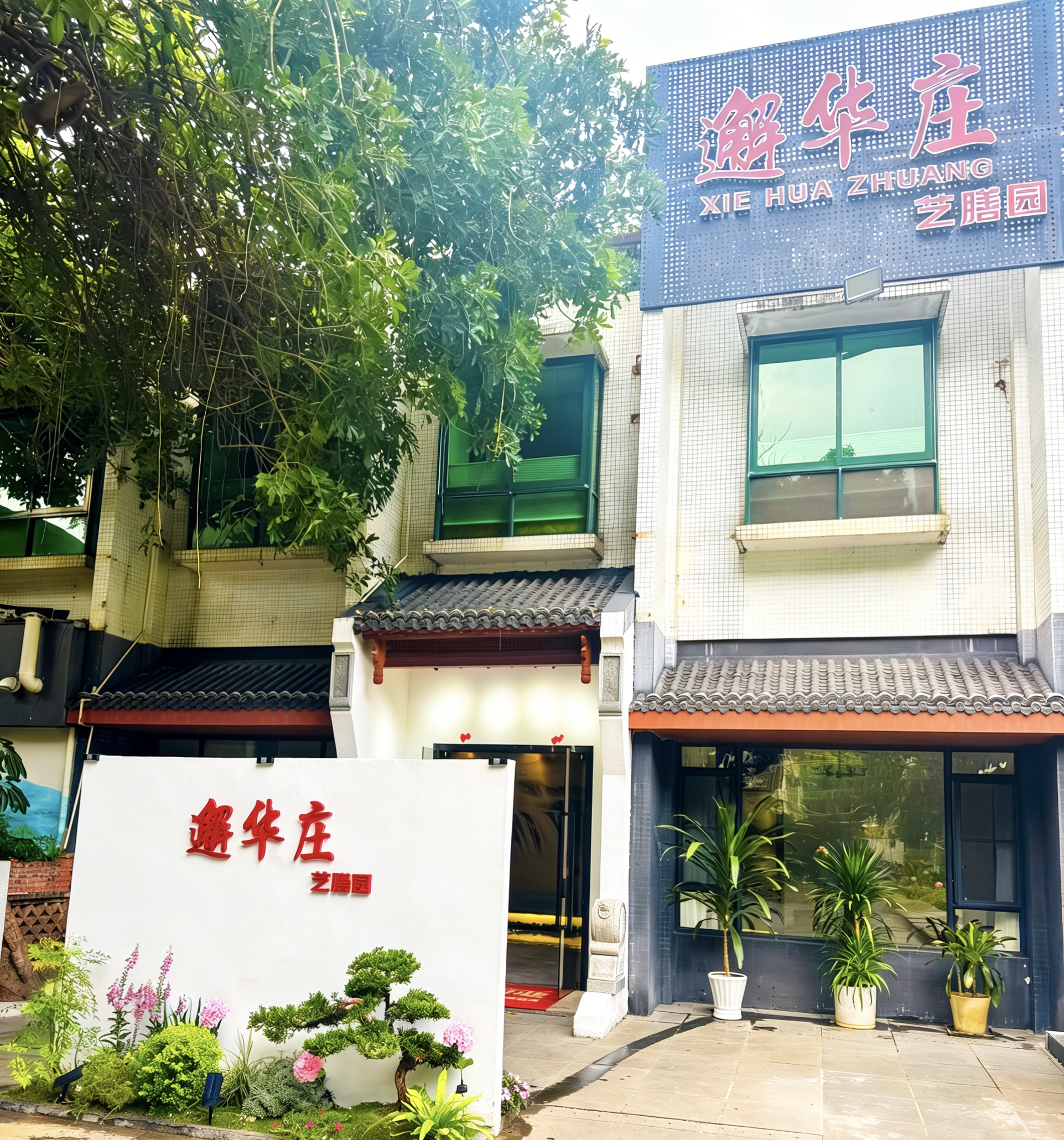 鱼泡网