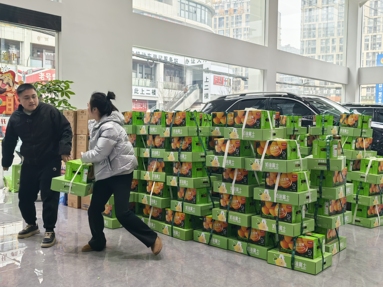 鱼泡网