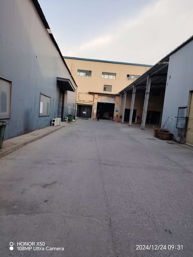 魚泡網