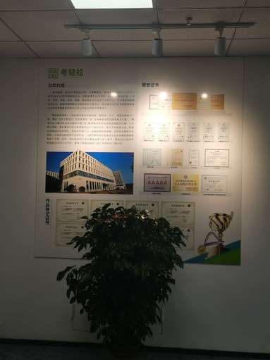 鱼泡网