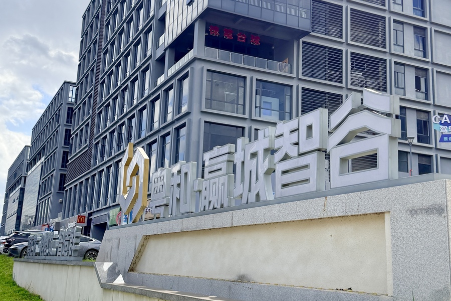 鱼泡网