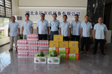 鱼泡网