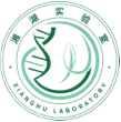 湘湖實(shí)驗(yàn)室