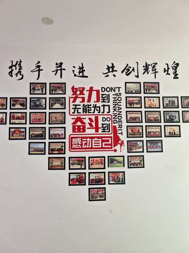 鱼泡网
