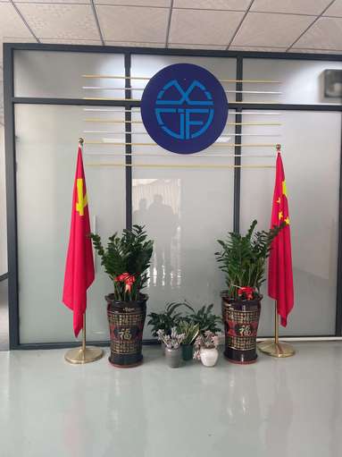 鱼泡网