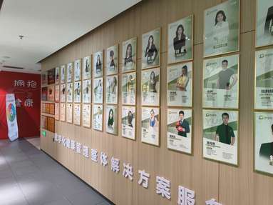 鱼泡网