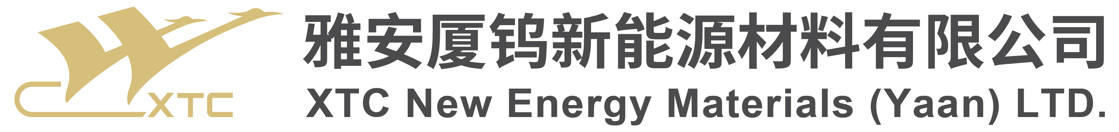 魚泡網