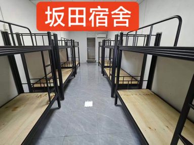 鱼泡网