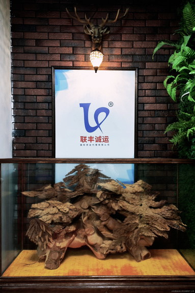 魚泡網(wǎng)