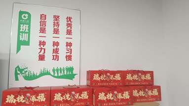 鱼泡网