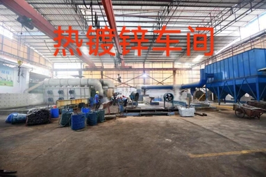 魚泡網(wǎng)