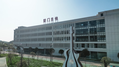 鱼泡网