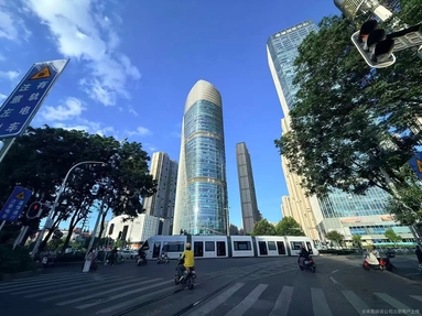 鱼泡网
