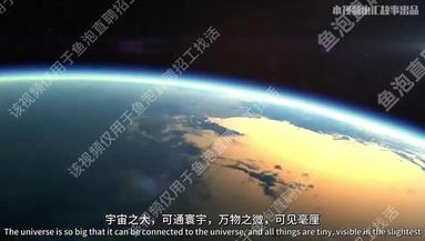 芯片检测