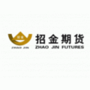 山東齊盛期貨有限公司