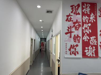 鱼泡网