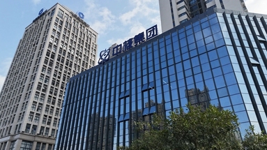 鱼泡网
