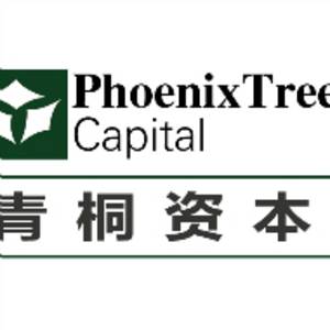 上海青之桐投資管理有限公司