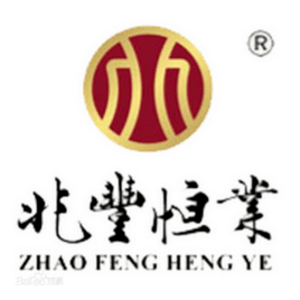 魚泡網(wǎng)