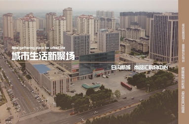 魚泡網