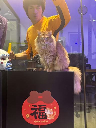 魚泡網(wǎng)