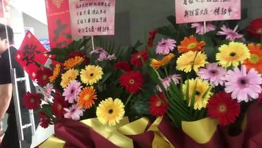 魚泡網(wǎng)