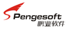成都鹏业软件股份有限公司