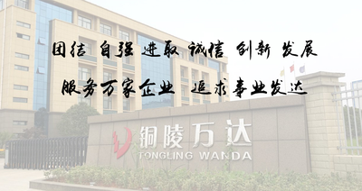 鱼泡网