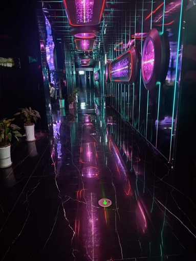 鱼泡网